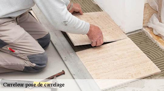 Carreleur pose de carrelage