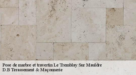 Pose de marbre et travertin
